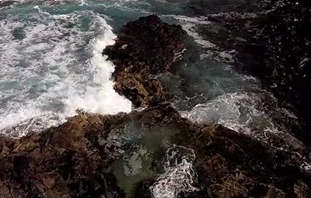 Screenshot From Video