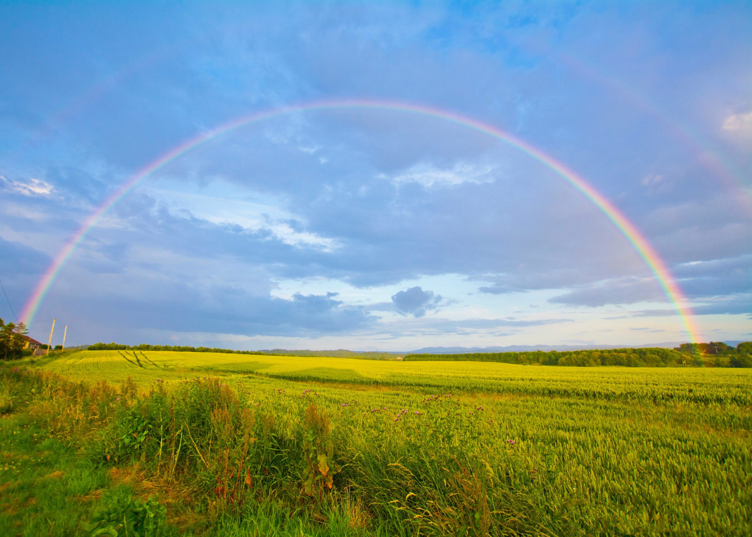 The Rainbow